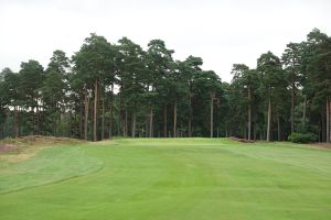 Swinley Forest 16th Fairway